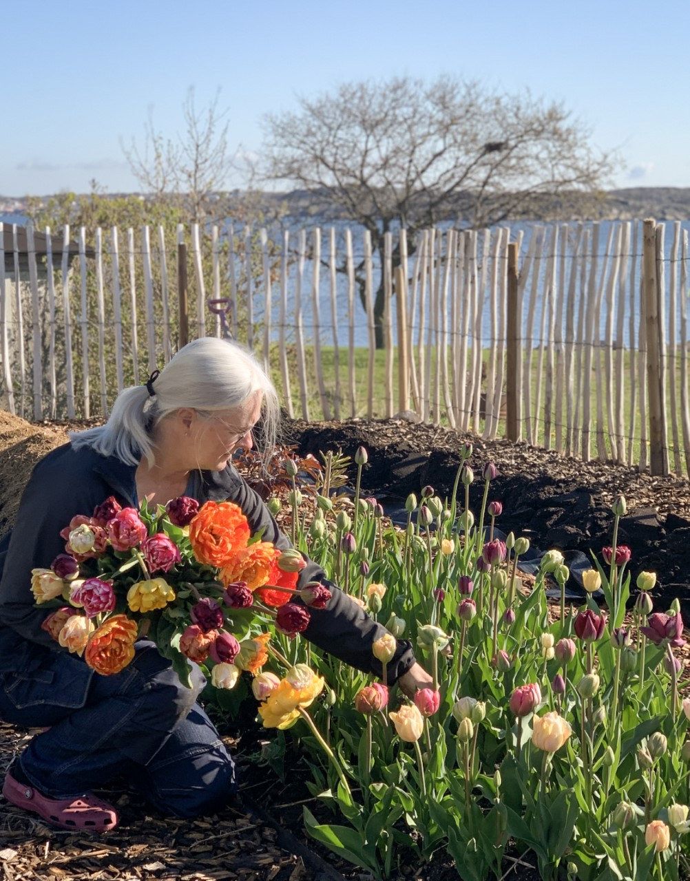Blomsterplock i hagen